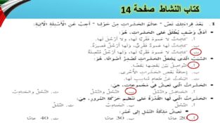حل درس عالم الحشرات من حولنا كتاب النشاط 3