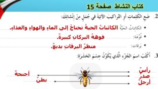 حل درس عالم الحشرات من حولنا كتاب النشاط 6
