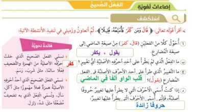 التشبيه والفعل الصحيح لغة عربية صف سابع 6