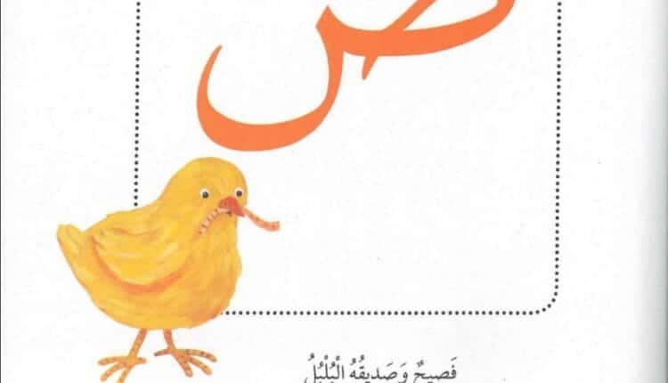 حل درس حرف ص فصيح وصديقه البلبل للصف الاول عربي الفصل الثاني
