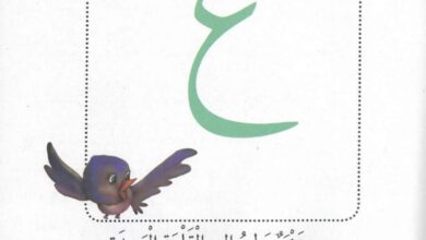 حل درس حرف ع عنبر يطير إلى القلعة البعيدة للصف الاول عربي الفصل الثاني