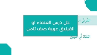حل درس العنقاء او الفينيق عربية صف ثامن