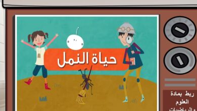 حل درس نونة النملة النشيطة للصف الاول الفصل الثاني