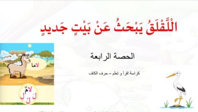 حل ورقة عمل اللقلق يبحث عن بيت جديد عربي للصف الاول الفصل الثاني