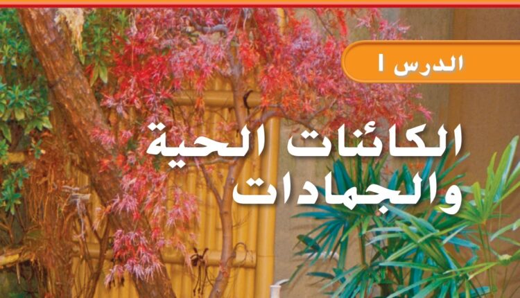 حل درس الكائنات الحية والجمادات علوم للصف الثاني الفصل الأول