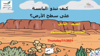 حل درس كيف تبدو اليابسة على سطح الأرض