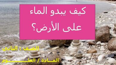 حل درس كيف يبدو الماء على الأرض علوم للصف الثاني الفصل الثاني