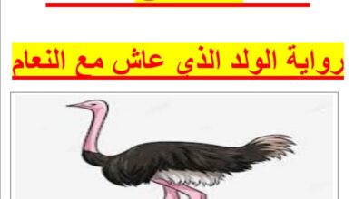 تلخيص رواية الولد الذي عاش مع النعام للصف السابع الفصل الثالث