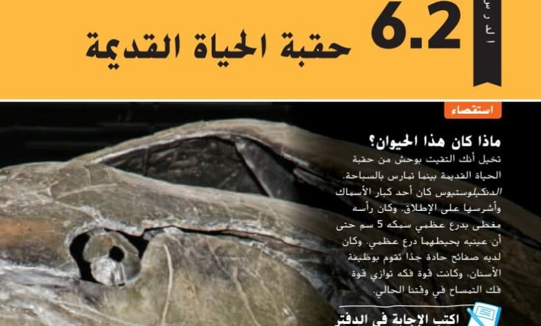 حل درس حقبة الحياة القديمة للصف الثامن الفصل الثالث