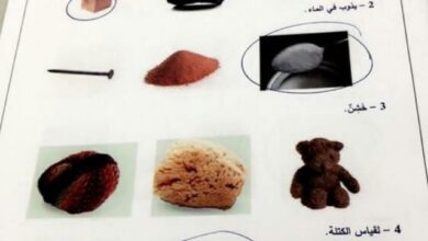 حل اختبار نهاية الفصل الثالث علوم الصف الأول