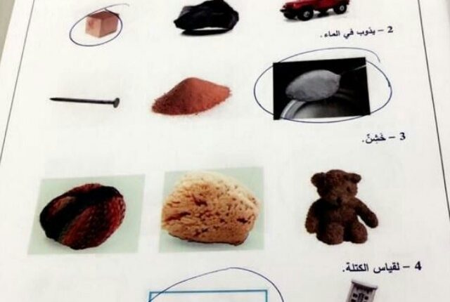 حل اختبار نهاية الفصل الثالث علوم الصف الأول