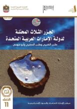 كتاب الجزر الثلاث المحتلة للصف الحادي عشر عام الفصل الأول 2026 1