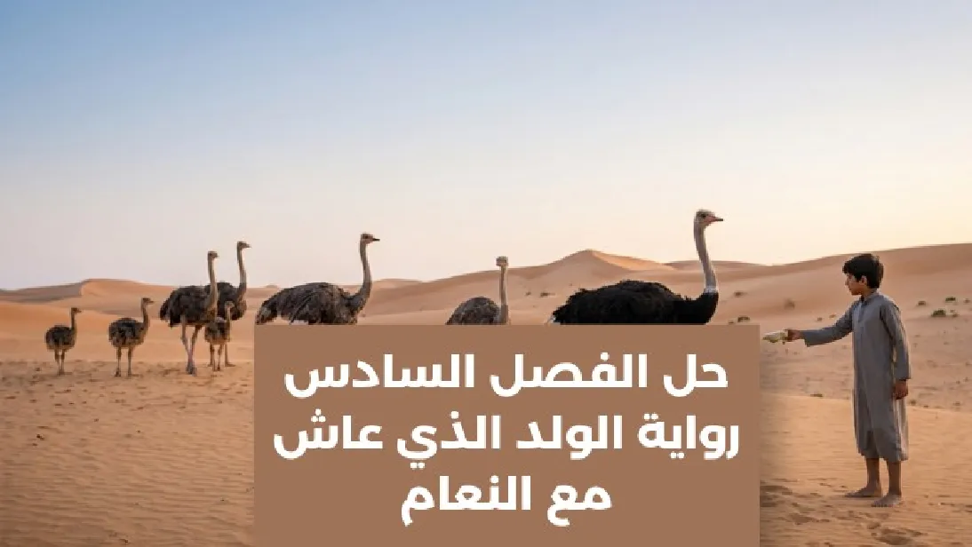 حل الفصل السادس رواية الولد الذي عاش مع النعام