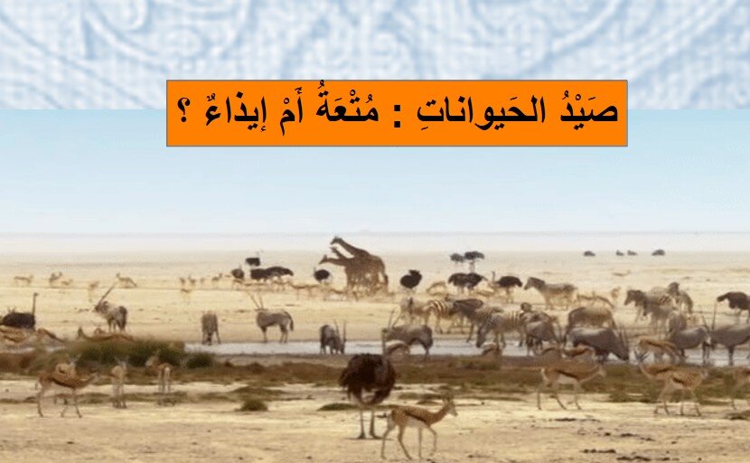 حل درس صيد الحيوانات متعة أم إيذاء صف ثامن
