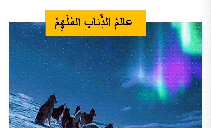 حل درس عالم الذئاب الصف الثامن الفصل الثالث