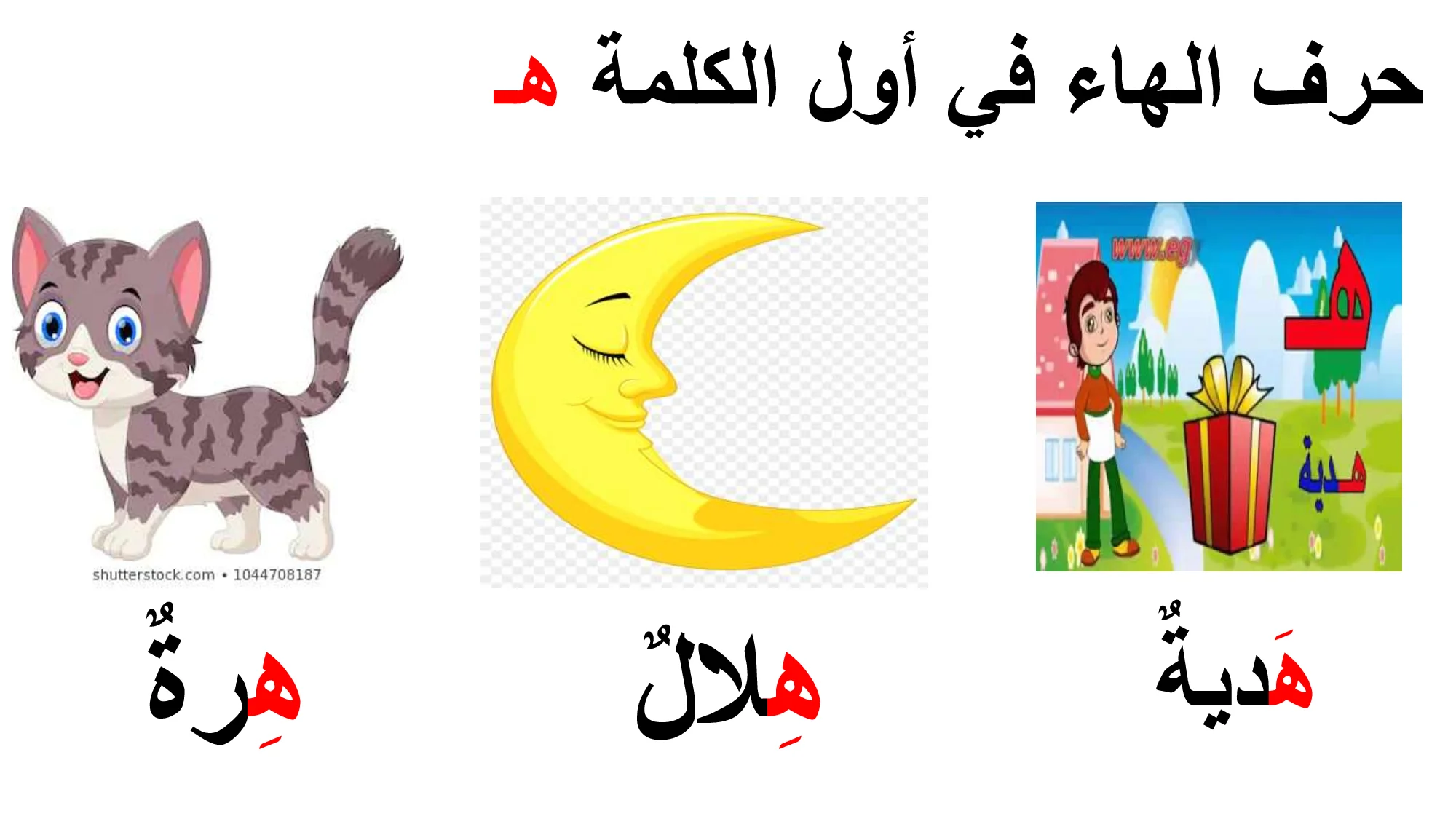 شرح درس حرف الهاء عربي لغير الناطقين الصف الاول