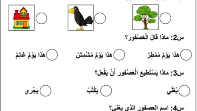 اختبار المسح التشخيصي عربية للصف الأول الفصل الأول
