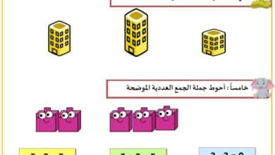 اختبار تشخيصي رياضيات للصف الأول الفصل الأول 1