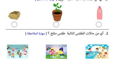 اختبار تشخيصي علوم متكاملة للصف الأول الفصل الأول