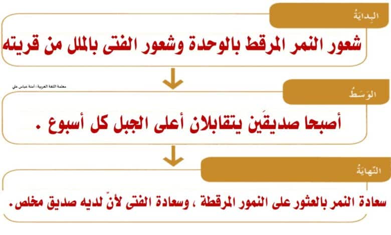 حل درس النمر الأرقط للصف الرابع الفصل الأول