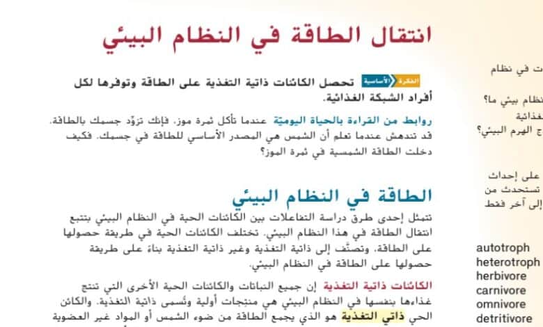 حل درس انتقال الطاقة في النظام البيئي للصف التاسع متقدم الفصل الثالث