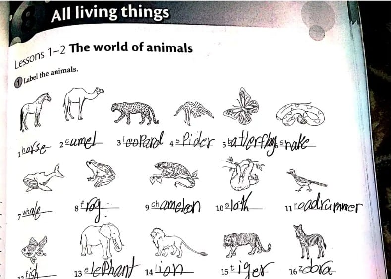 حل كتاب الانجليزي للصف السابع workbook الفصل الثاني